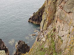 Cliffs at the Mull of Galloway