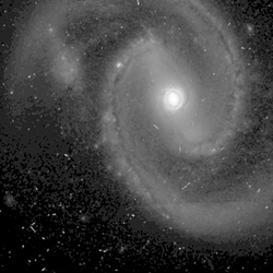 NGC 1019 -HST05479 3f-606-asinh.png