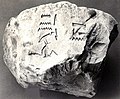 Камень с именем Сенмута. Метрополитен-музей
