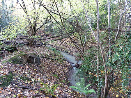 Netherside Stream Outcrops 2