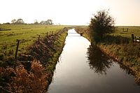 New River drain - geograph.org.uk - 593551.jpg