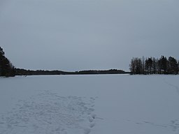 Sjön Niilesjärvi sedd från norra stranden mot sydöst 7 mars 2010. Ön Raitasaari till höger.