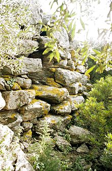 Nuraghe Predas Rujas 2. Mur de Nuraghe partiellement recouvert de végétation