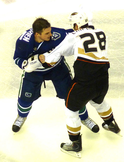 O'Brien fighting Kyle Chipchura of the Anaheim Ducks in December 2009