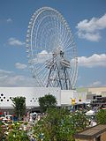 Thumbnail for Redhorse Osaka Wheel
