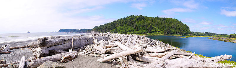 File:Olympic Peninsula (9452193374).jpg