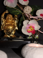 Orchidée et Bouddha.png