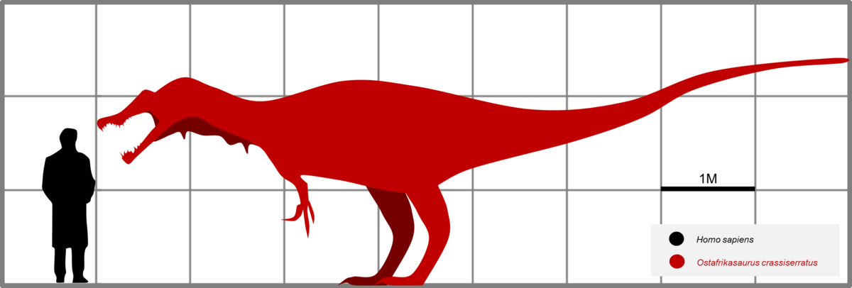 File:Afrovenator Size Comparison PaleoGeek.svg - Wikipedia