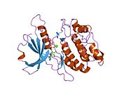 PDB 1jkk EBI.jpg