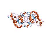 PDB 1t8t EBI.jpg