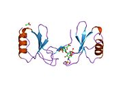 1u4l: human RANTES complexed to heparin-derived disaccharide I-S