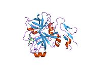 PDB 2bok EBI.jpg