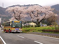 渋02 大倉付近にて