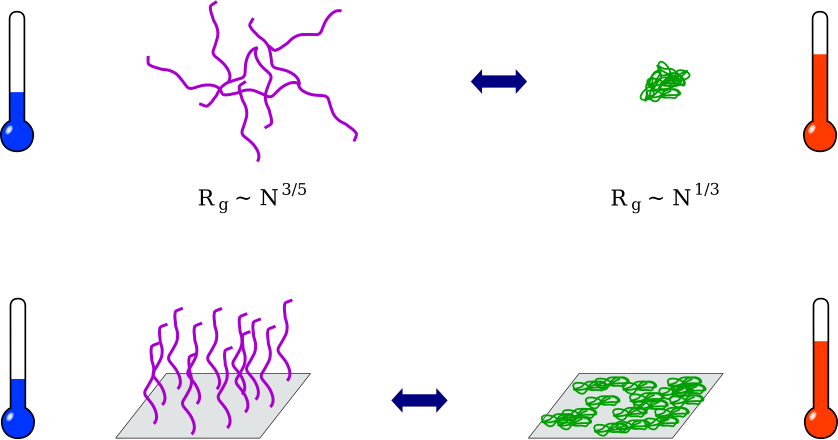 Поли n. Термочувствительные полимеры. ВКТР полимеры. Clever Polymers схемы. Термофорез и диффузиофорез.