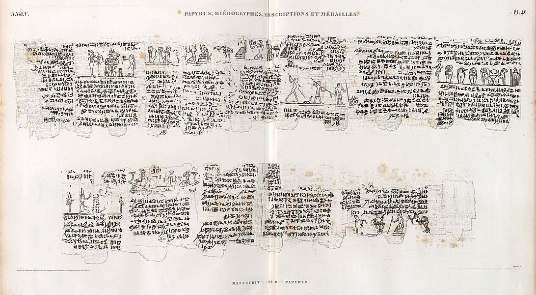 Pl.46 - Manuscrit sur papyrus