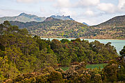 Parua Bay, Northland, New Zealand, 4th. Dec. 2010 - Flickr - PhillipC.jpg