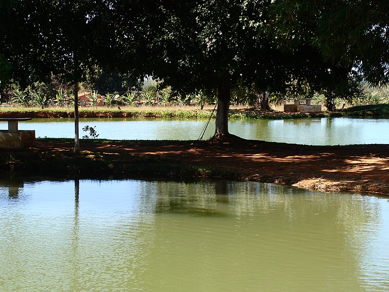 File:Pesque Pague n° senhora rainha da paz - panoramio (4).jpg