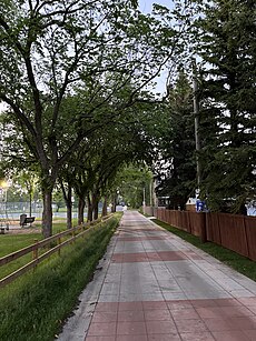 A newly paved concrete alleyway designated as a "shared street" running along Angus Murray Park.
