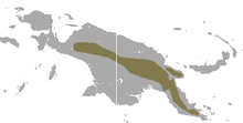 Плюспен қапталған Ringtail Possum area.png