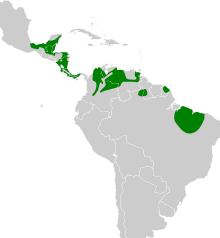 Poecilotriccus sylvia map.svg