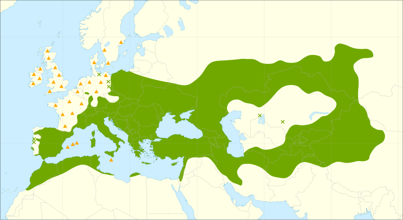 Archivo:Populus alba range.svg