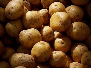 File:Potatoes (4799817714).jpg - Wikimedia Commons