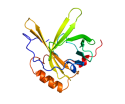 Ақуыз APOD PDB 2APD.png