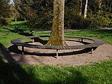 Průhonice - Dendrologická zahrada, kruhová lavička