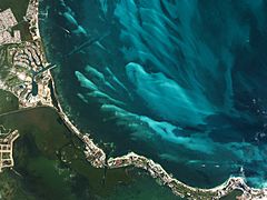 Puerto Cancún, Mexico by Planet Labs.jpg