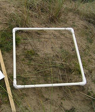 <span class="mw-page-title-main">Quadrat</span> Rectangular frame used to demarcate a part of the substrate for detailed analysis