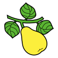 Quince slipped and leaved.svg