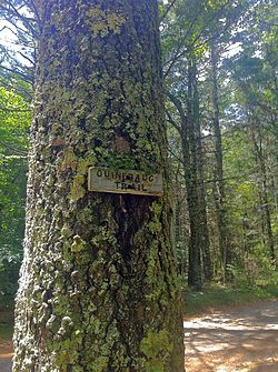 Quinebaug Trail Sign of Hell Hollow Road bilan Phillips Pond.jpg