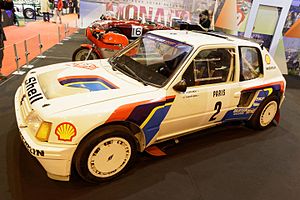 Rallye Monte Carlo 1985