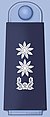 ROKAF insignia Lieutenant Colonel.jpg