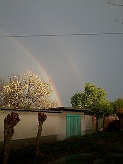 Rainbow Chervena.jpg