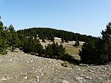 Els Rasos de Baix, als Rasos de Peguera, prop del cim.