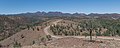 * Nomination: A view from Razorback Lookout in Ikara-Flinders NP, looking towards South --DXR 05:55, 3 April 2023 (UTC) * * Review needed