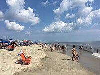 Amateur Public Beach Group Sex - Delaware - Wikipedia