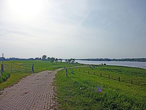 In the foothills of the Rhine near Perrich