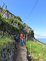 Ribeira Funda, Seixal, Madeira - 2016-05-22 - IMG 2432.jpg