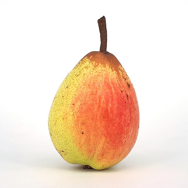 File:Rocha Pear 2017 A1.jpg