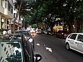 Miniatura para Rua Siqueira Campos