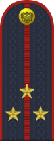 Russia-Polizia-OF-1c-2013.svg