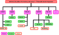 S4 Programme Structure - Detailed View