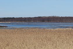 Saarnijärveä nähtynä etelästä huhtikuussa 2017.