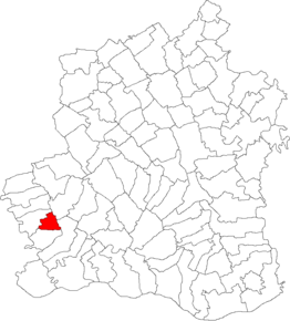 Amplasarea în cadrul județului Comuna Saelele se află la o distanță de 20 km de orașul Turnu Măgurele si la 65 km de municipiul Alexandria, reședință de județ.