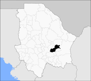 <span class="mw-page-title-main">Saucillo Municipality</span> Municipality in the Mexican state of Chihuahua