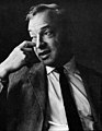 Saul Bellow (Herzog portrait) (cropped).jpg