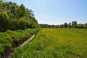 Schleswig-Holstein, Welmbüttel, Welmbütteler Moor NIK 6860.jpg