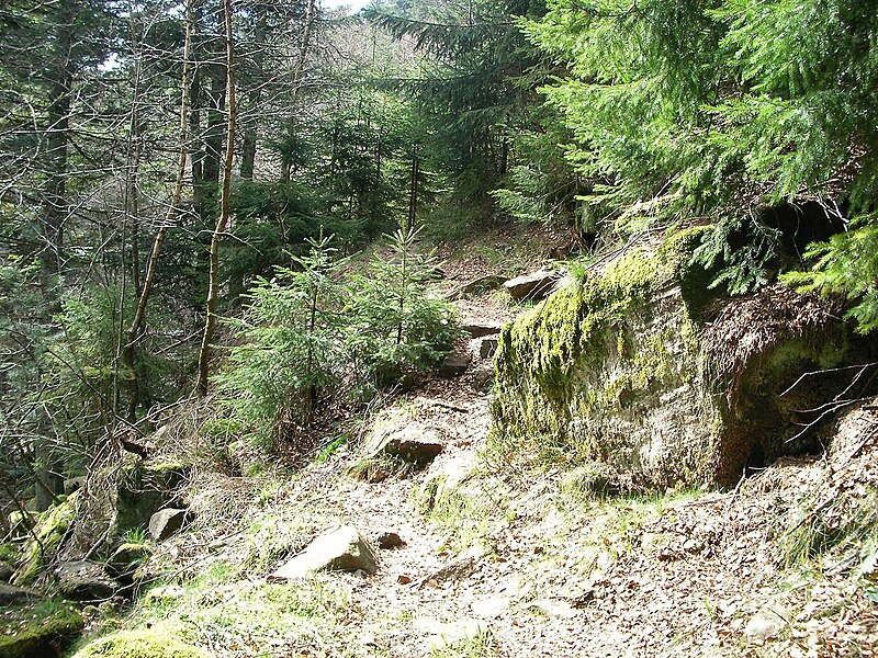 File:Sentier (21).jpg